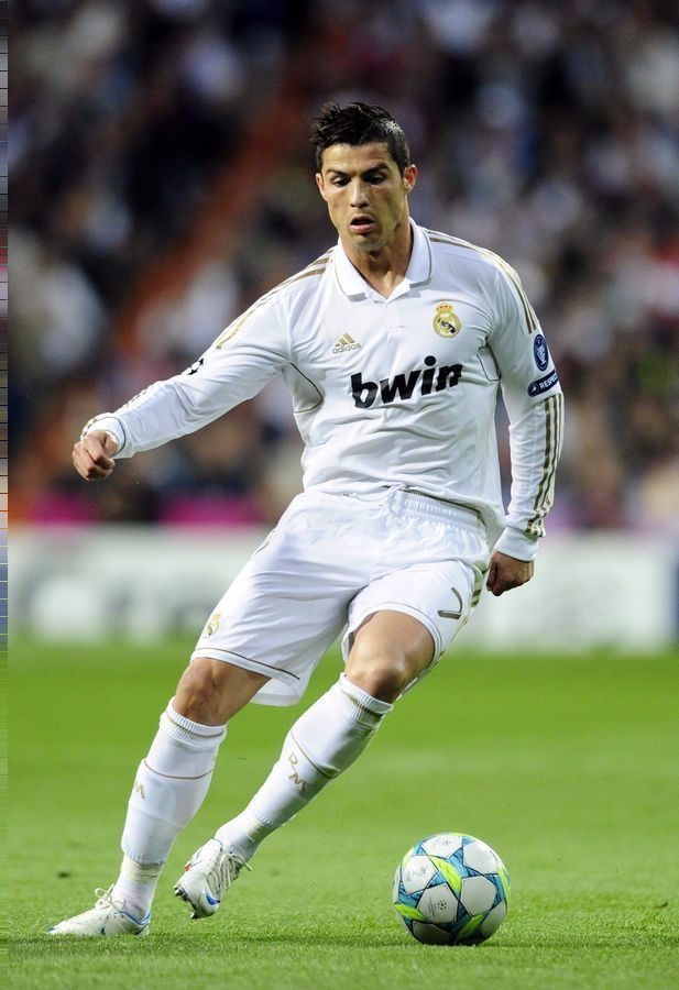 老鹰放弃 老鹰放弃