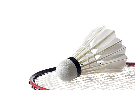 力的道路上 力的道路上