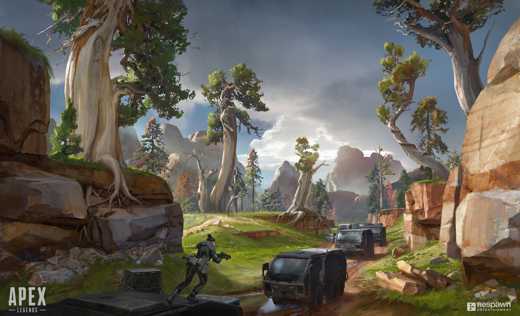 场高分的烟 场高分的烟